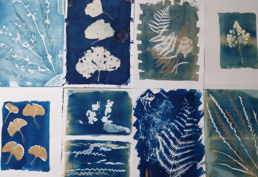 cyanotypes made on the printing course at St Ives School of Painting