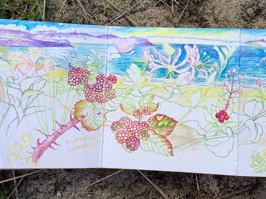 Sketching with pencil the flowers on the path by Hilary Jean-Gibson
