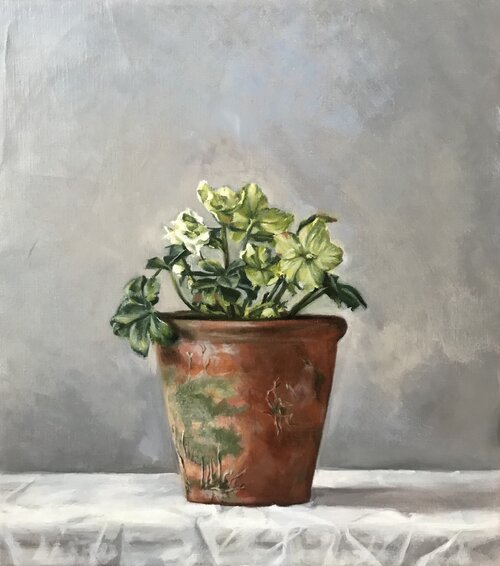 still life in oils by Emily Roberts st ives school of painting